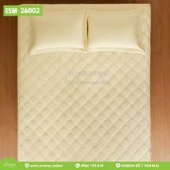 Bộ Everon ESM-26002