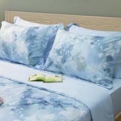 CT220048 - Bộ chăn ga gối Microfiber NIN Calisto
