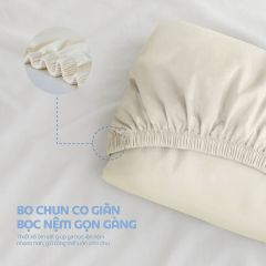 N190082 - Bộ chăn ga gối 100% cotton sateen NIN Collins N190082