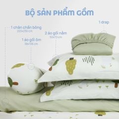 N190080 - Bộ chăn ga gối 100% cotton sateen NIN Collins N190080