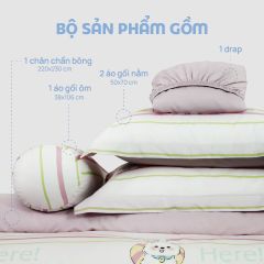 N190081 - Bộ chăn ga gối 100% cotton sateen NIN Collins N190081