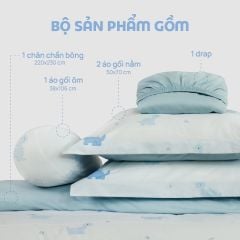 N190084 - Bộ chăn ga gối 100% cotton sateen NIN Collins N190084