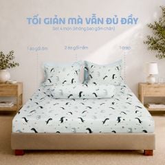 N190085 - Bộ chăn ga gối 100% cotton sateen NIN Collins N190085