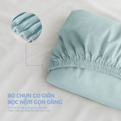 N190084 - Bộ chăn ga gối 100% cotton sateen NIN Collins N190084