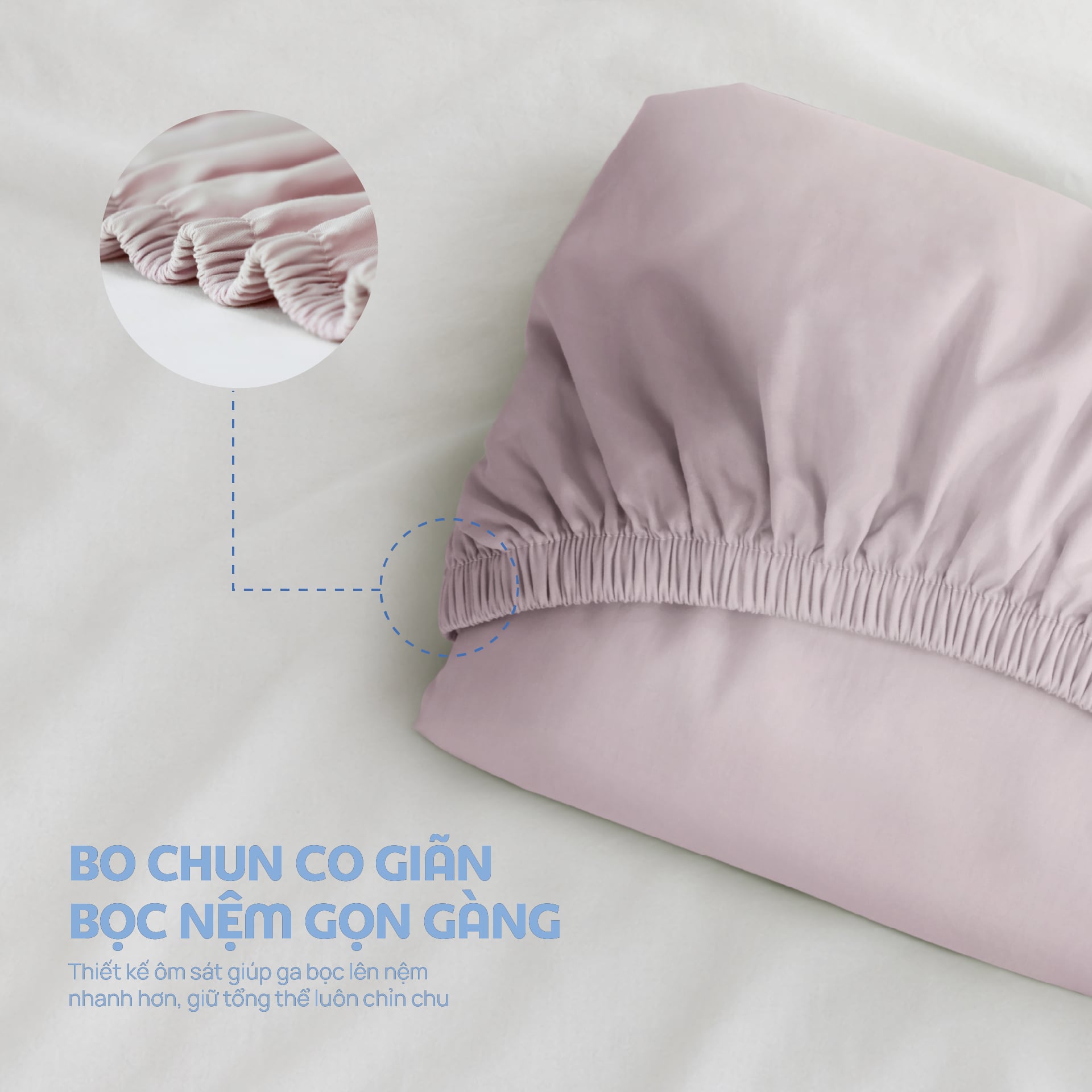 N190081 - Bộ chăn ga gối 100% cotton sateen NIN Collins N190081