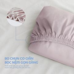 N190081 - Bộ chăn ga gối 100% cotton sateen NIN Collins N190081