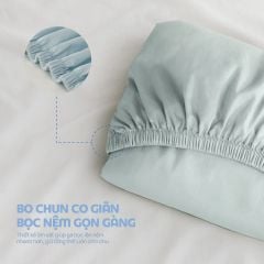 N190085 - Bộ chăn ga gối 100% cotton sateen NIN Collins N190085