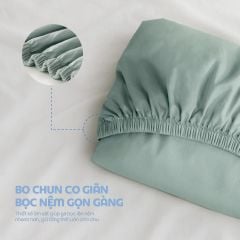 N190083 - Bộ chăn ga gối 100% cotton sateen NIN Collins N190083