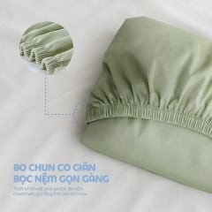 N190080 - Bộ chăn ga gối 100% cotton sateen NIN Collins N190080
