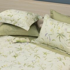 CT220043 - Bộ chăn ga gối Microfiber NIN Calisto