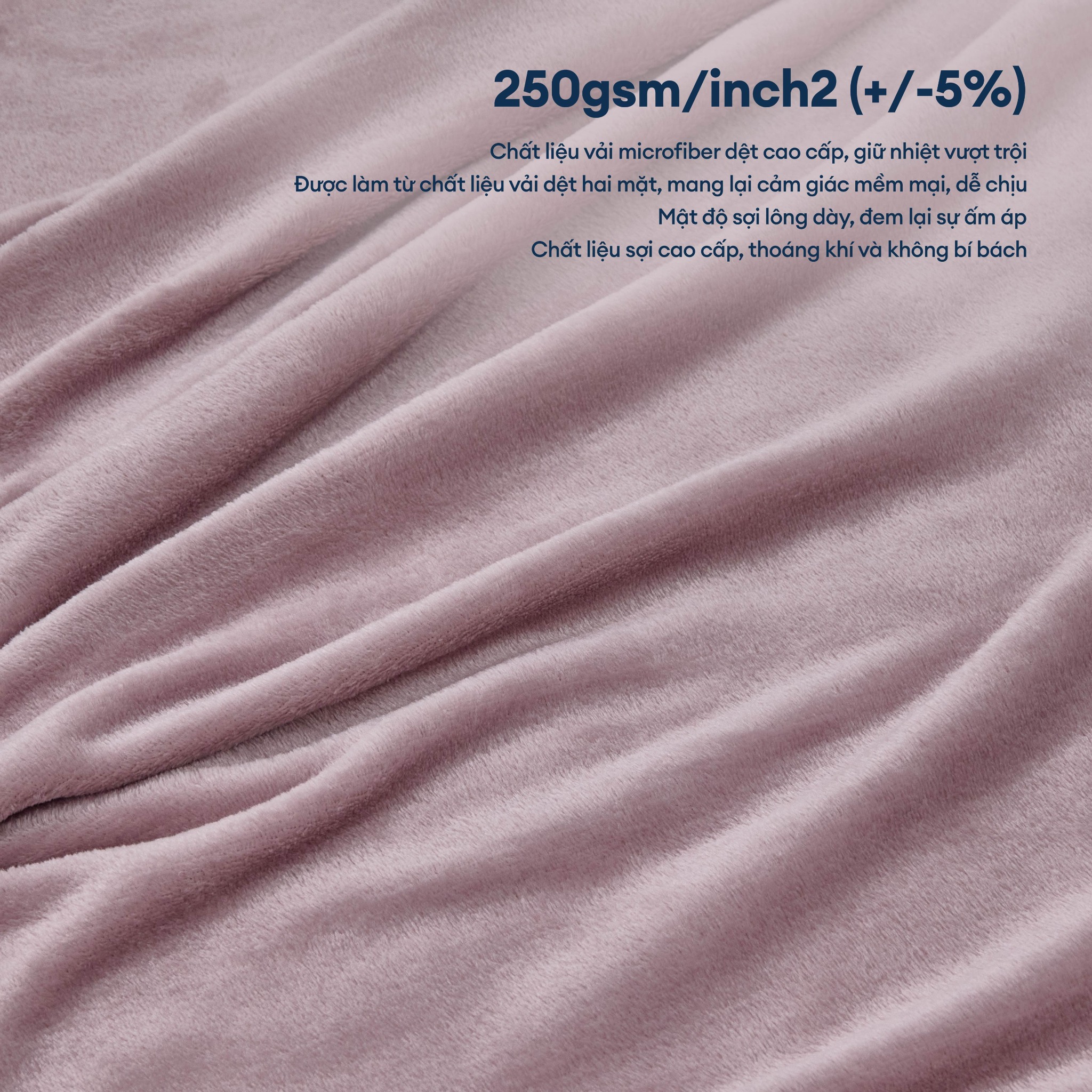 Mền Tuyết NIN - Violet Spring Light