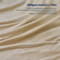 Mền Tuyết NIN - Soybean