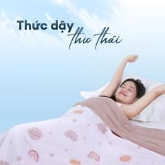 Chăn hè mát lạnh I Cool NM8041 - Mền lạnh ICool Advance NIN House hoa văn NM8041