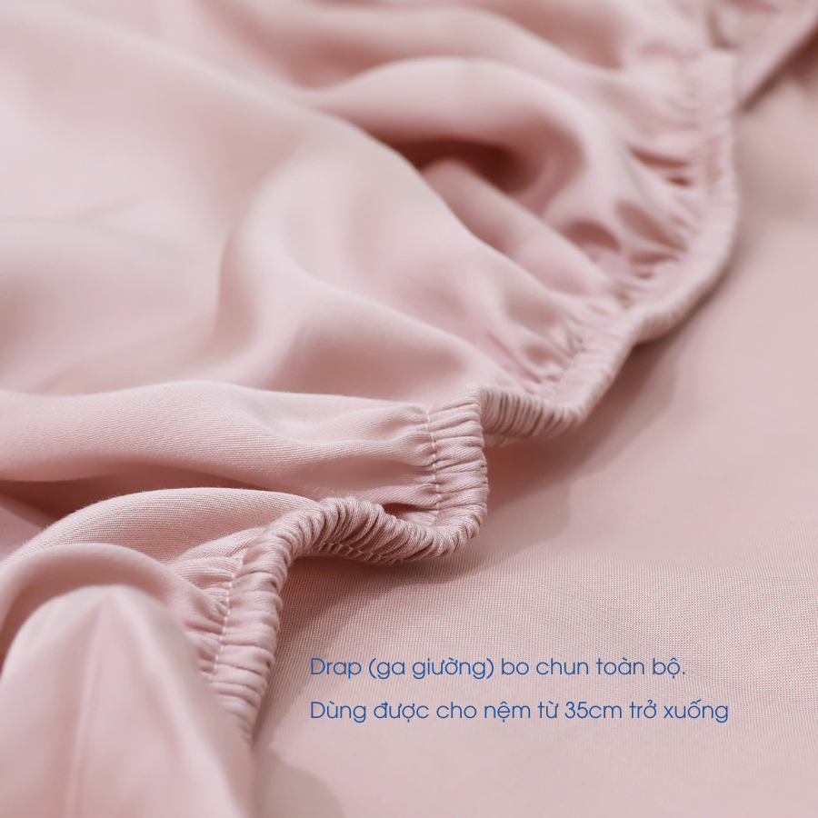 NP8910 - Bộ chăn ga gối Tencel NIN Pristine NP8910