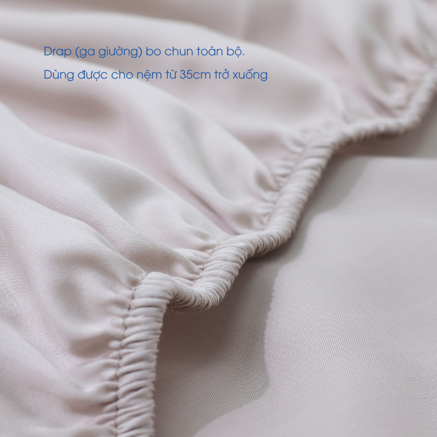 NP8911 - Bộ chăn ga gối Tencel NIN Pristine NP8911