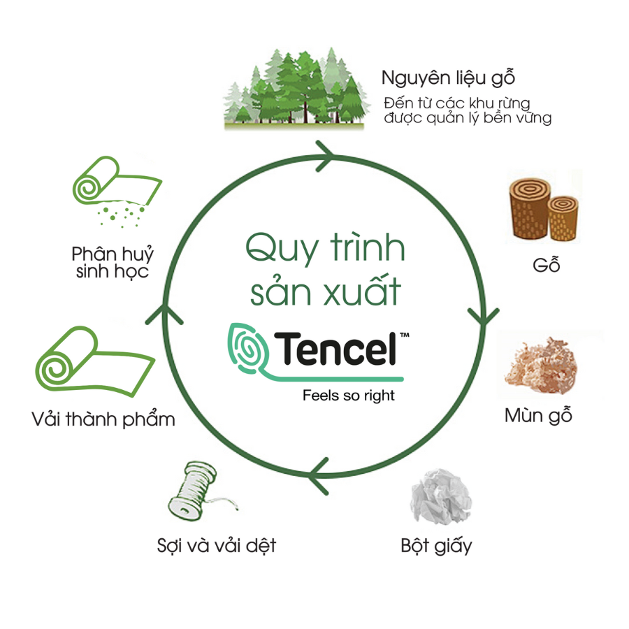 NP8908 - Bộ chăn ga gối Tencel NIN Pristine NP8908