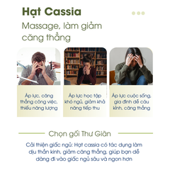 Gối thư giãn Super Fine Plant Coolong NIN House 48x74cm thảo dược, chăm sóc vai gáy cổ