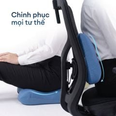 GỐI TỰA ĐA NĂNG NIN BACKCARE