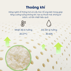 Nệm cao su thiên nhiên massage NIN House 7 vùng 160x200x10cm - Hỗ trợ Chăm sóc cột sống