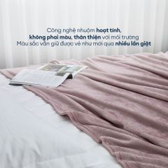 Mền Tuyết NIN - Violet Spring Light