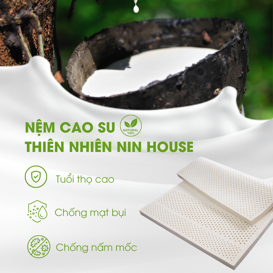 Nệm cao su thiên nhiên massage NIN House 7 vùng 160x200x10cm - Hỗ trợ Chăm sóc cột sống