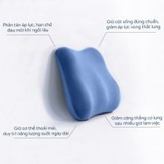 GỐI TỰA ĐA NĂNG NIN BACKCARE