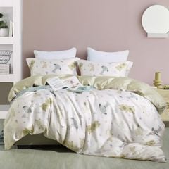 CT220044 - Bộ chăn ga gối Microfiber NIN Calisto