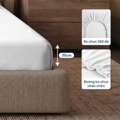 Bộ chăn ga gối Tencel NIN Florence Soft White