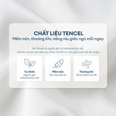 Bộ chăn ga gối Tencel NIN Florence Soft White