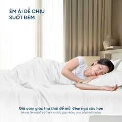 Bộ chăn ga gối Tencel NIN Florence Soft White