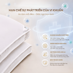 Ruột gối nằm kháng khuẩn 50x70cm NIN House gòn tơ tằm công nghiệp kháng khuẩn