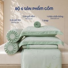 NP8924 - Bộ chăn ga gối Tencel NIN Pristine NP8924