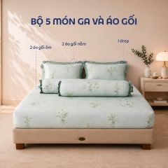 NP8924 - Bộ chăn ga gối Tencel NIN Pristine NP8924
