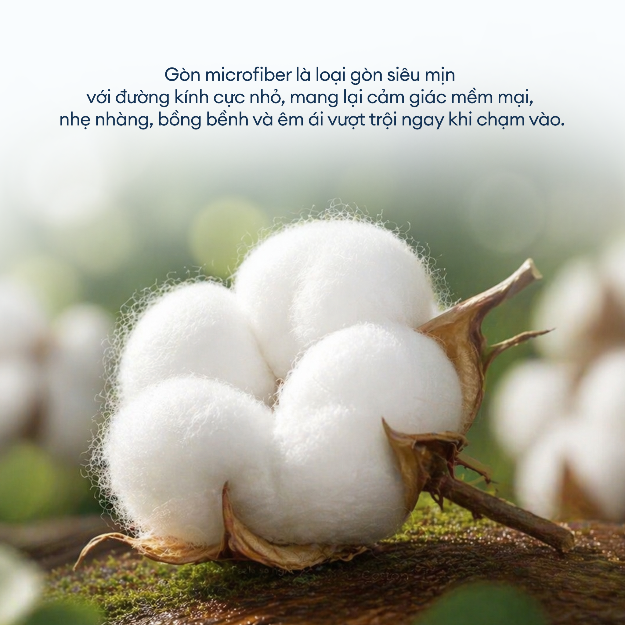 Ruột gối nằm Soft Feel 50x70cm Polyester