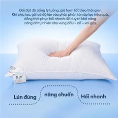 Ruột gối nằm Soft Feel 50x70cm Polyester