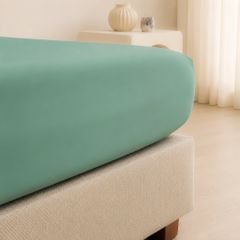 ST200057- Bộ chăn ga gối Microfiber STEFANI