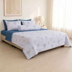 ST200062 - Bộ chăn ga gối Microfiber STEFANI