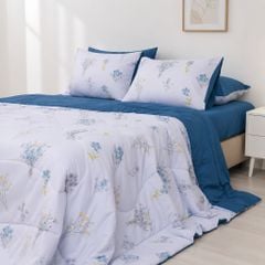 ST200062 - Bộ chăn ga gối Microfiber STEFANI