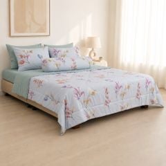 ST200063 - Bộ chăn ga gối Microfiber STEFANI