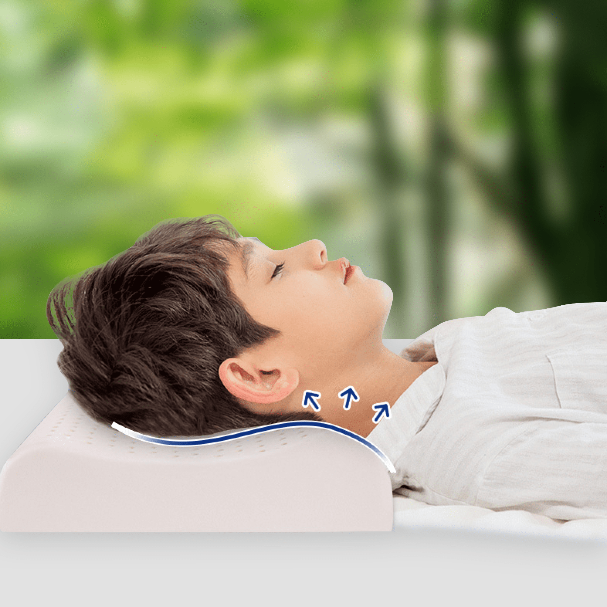 Gối cao su thiên nhiên NIN House 50x30x7/9cm