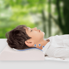 Gối cao su thiên nhiên NIN House 50x30x7/9cm