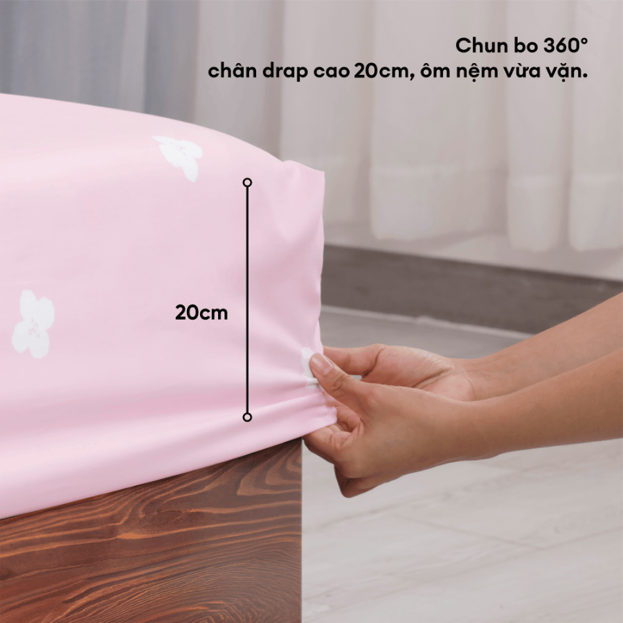 Bộ Drap áo gối JUN Store - ST200046