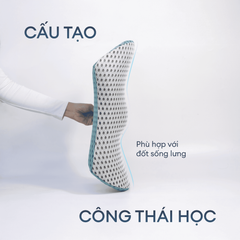 GỐI TỰA LƯNG CÔNG THÁI HỌC NIN SPINECARE
