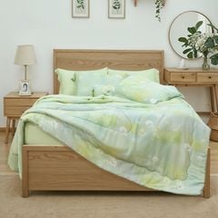 VC9009 - Bộ chăn ga gối NIN Valletta 100% Viscose