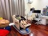 (New) Panasonic EP MA121 ghế massage nội địa Nhật