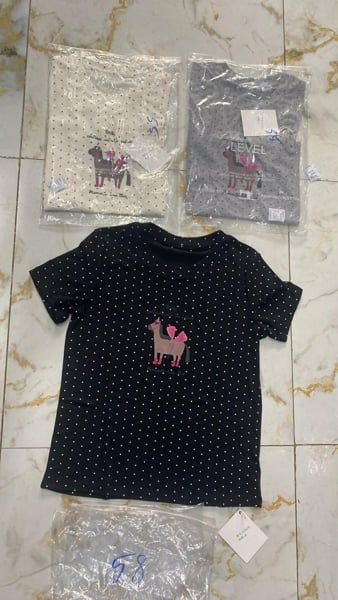  áo thun bi ngựa xám 