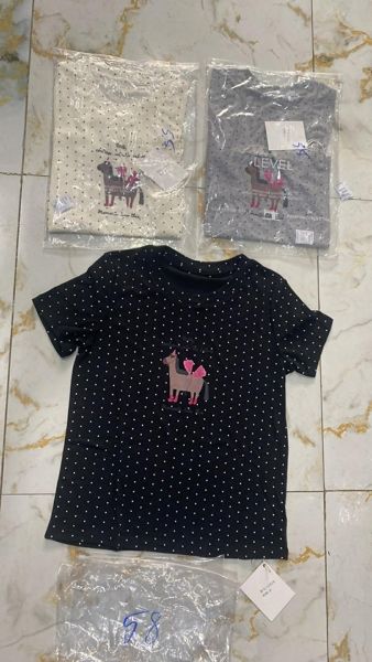  áo thun bi ngựa xám 