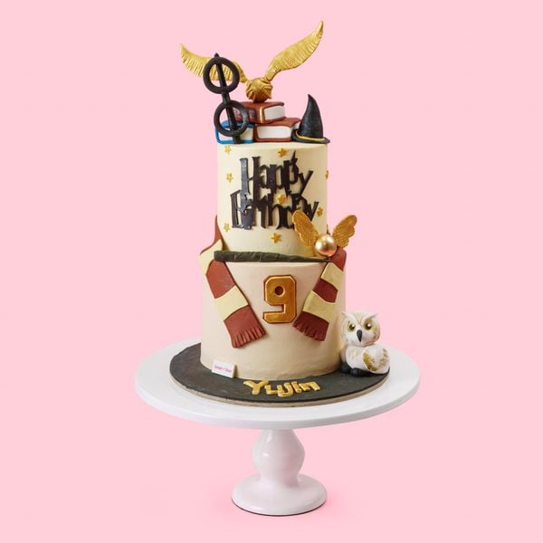 Bánh Sinh Nhật Chủ Đề Harry Potter