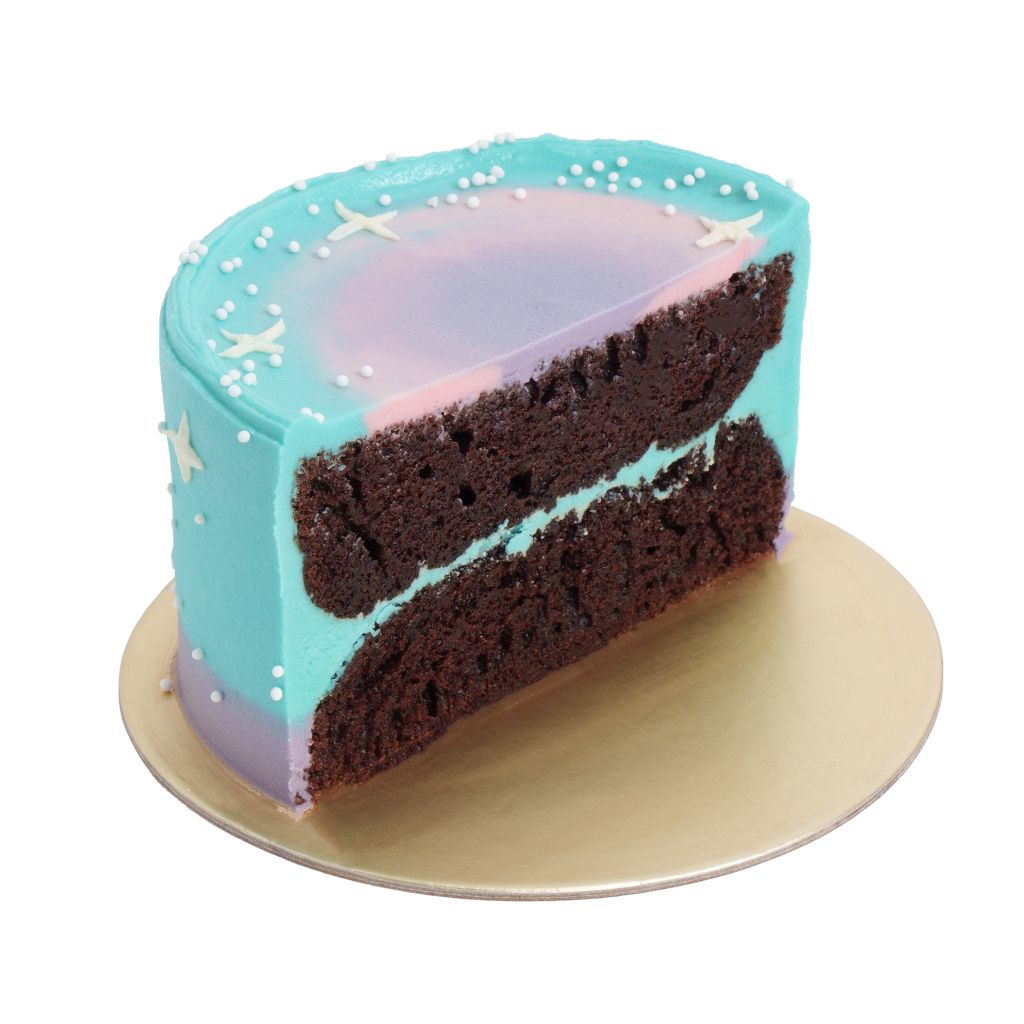 Chocolate Mini Cake