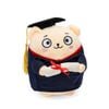 Gấu Bông Gấu Chú Tâm Tốt Nghiệp Biti's Màu Xanh AAUH06400XDG